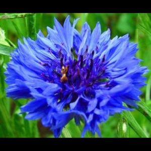 Meet your Posher, Jordyn